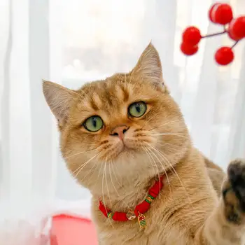 Bine-Pisică Colier Reglabil Decorative Chinlon Stil Chinezesc Leu Mic Cățeluș Câine Pisică Colier