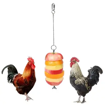Cm Alimentator De Pasăre Jucărie De Pui Legume Fructe Suport Din Oțel Inoxidabil Agățat Alimentator Pentru Găini Ouătoare Păsări, Papagali Cacadu