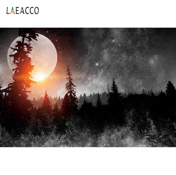 Laeacco Cerul Înstelat Lună Plină Pădure, Peisaj, Fotografie De Fundal Fără Sudură Fotografice Personalizate De Fundal Pentru Studio Foto